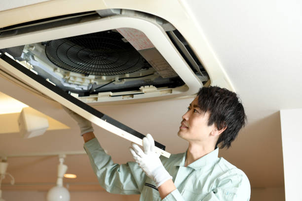 Best Affordable HVAC Duct Cleaning  in Colona, IL