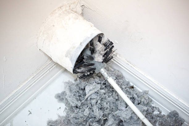 Best Professional Duct Cleaning Services  in Colona, IL