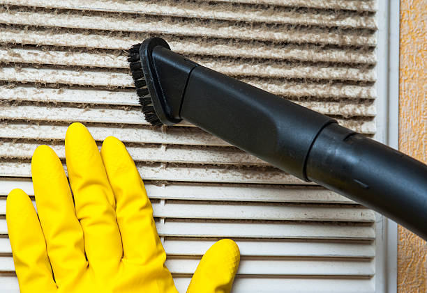 Best Affordable HVAC Duct Cleaning  in Colona, IL